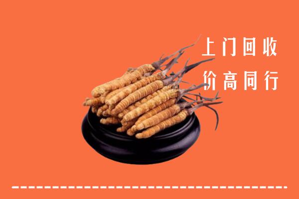 高价求购：临潭县回收散虫草