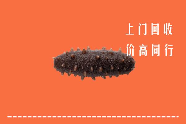 临潭县回收海参
