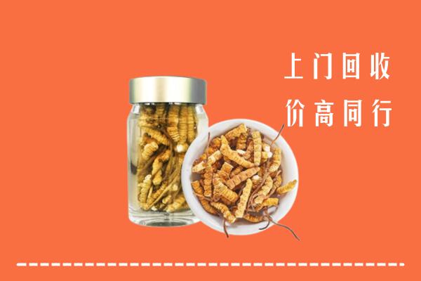临潭县回收冬虫夏草