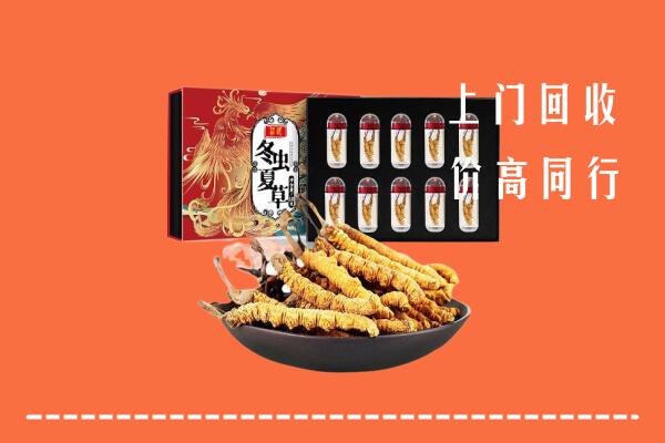 临潭县回收虫草